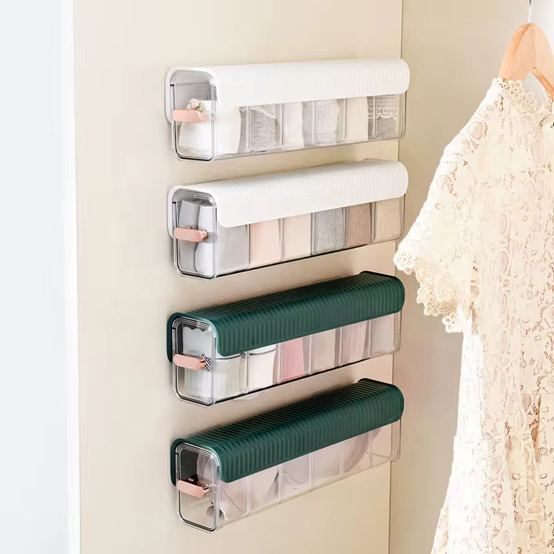 Multi-Compartment Transparent Storage Organizer