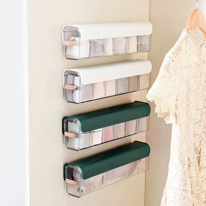 Multi-Compartment Transparent Storage Organizer