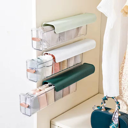 Multi-Compartment Transparent Storage Organizer
