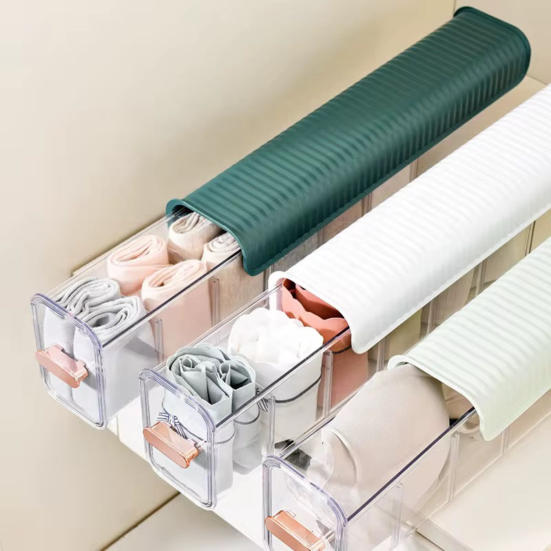 Multi-Compartment Transparent Storage Organizer