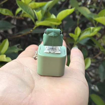 Frog Sound & Light Keychain