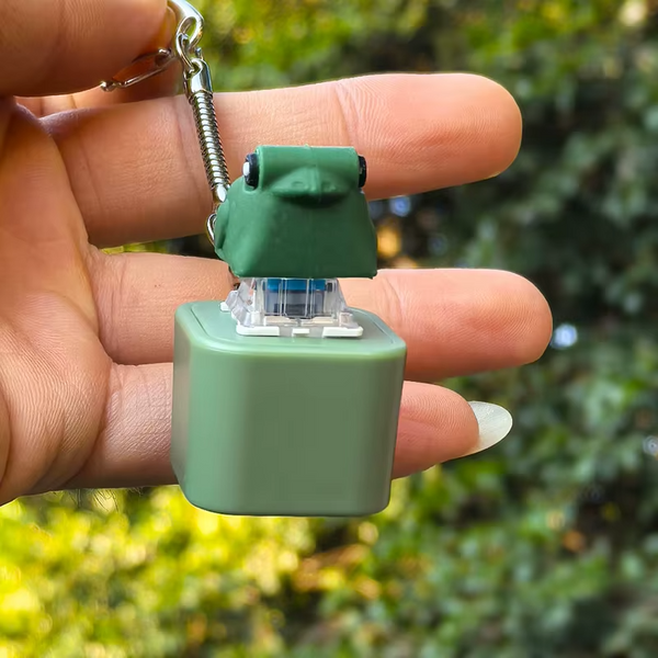 Frog Sound & Light Keychain