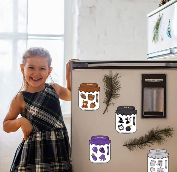 Colorful Magnetic Sorting Educational Set