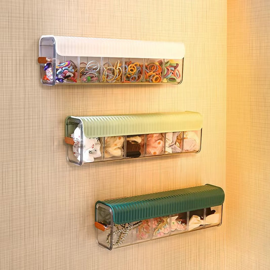 Multi-Compartment Transparent Storage Organizer