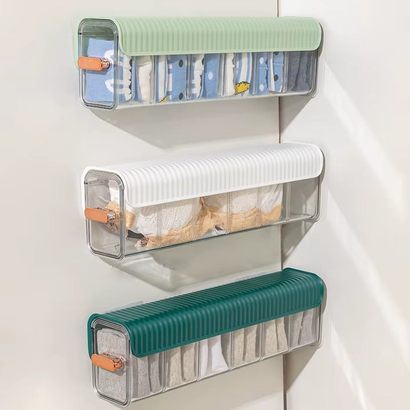 Multi-Compartment Transparent Storage Organizer