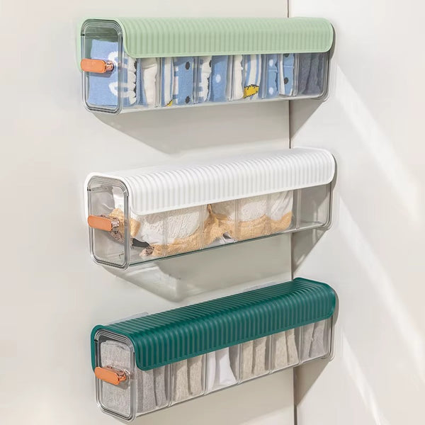 Multi-Compartment Transparent Storage Organizer