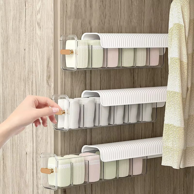 Multi-Compartment Transparent Storage Organizer